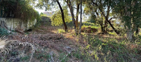 Grundstück in Coimbra, Portugal, Nr. 67975 13