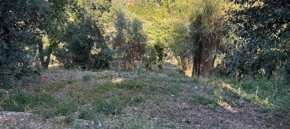 Grundstück in Coimbra, Portugal, Nr. 67975 11