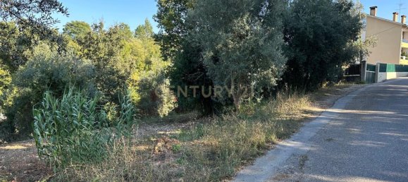 Grundstück in Coimbra, Portugal, Nr. 67975 22