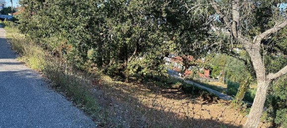 Grundstück in Coimbra, Portugal, Nr. 67975 6