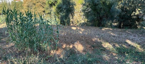 Grundstück in Coimbra, Portugal, Nr. 67975 15