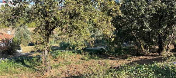 Grundstück in Coimbra, Portugal, Nr. 67975 28