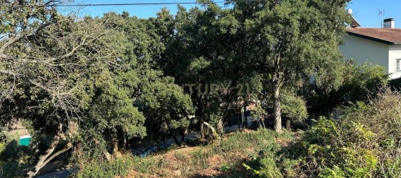 Grundstück in Coimbra, Portugal, Nr. 67975 4