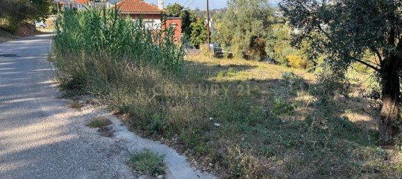 Grundstück in Coimbra, Portugal, Nr. 67975 18