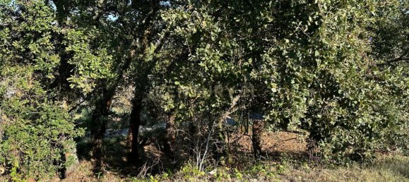 Grundstück in Coimbra, Portugal, Nr. 67975 12