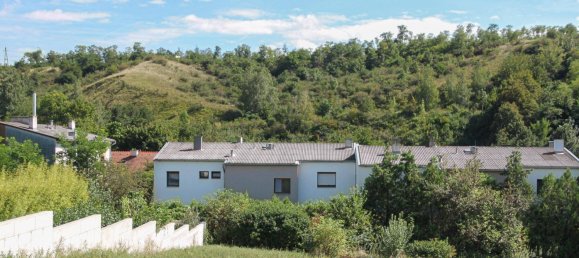  Land in Neusiedl am See, Austria No. 122735 2