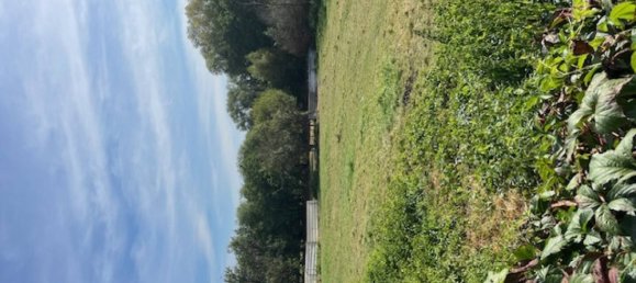 1388m² Land in Moncel-sur-Seille, France No. 75073 2