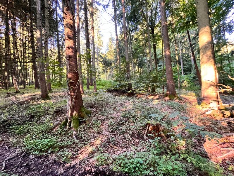  Land in Neustadt an der Waldnaab, Germany No. 153839