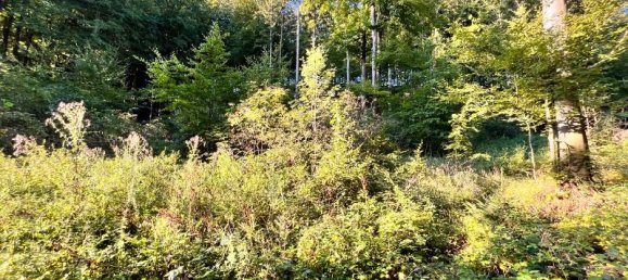  Land in Neustadt an der Waldnaab, Germany No. 153839 2