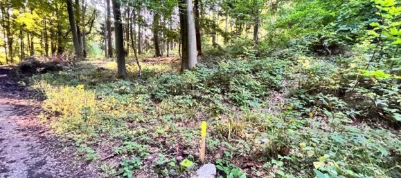  Land in Neustadt an der Waldnaab, Germany No. 153839 4