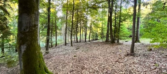  Land in Neustadt an der Waldnaab, Germany No. 153839 3