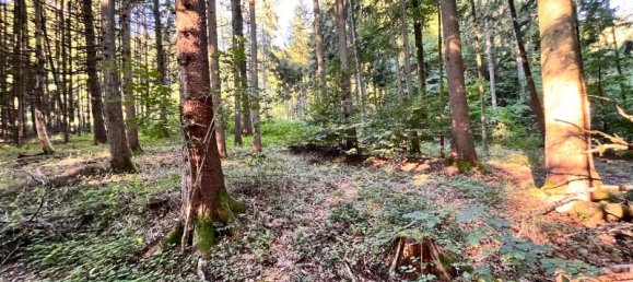  Land in Neustadt an der Waldnaab, Germany No. 153839 5