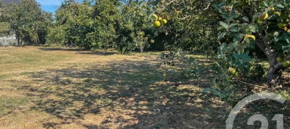 4 Schlafzimmer Haus in Manche, France, Nr. 354264 12