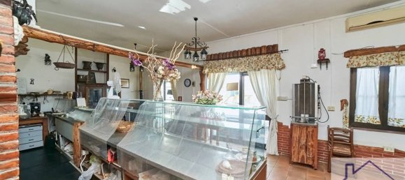 2 rooms Commercial property in Albano Laziale, Italy No. 302262 9