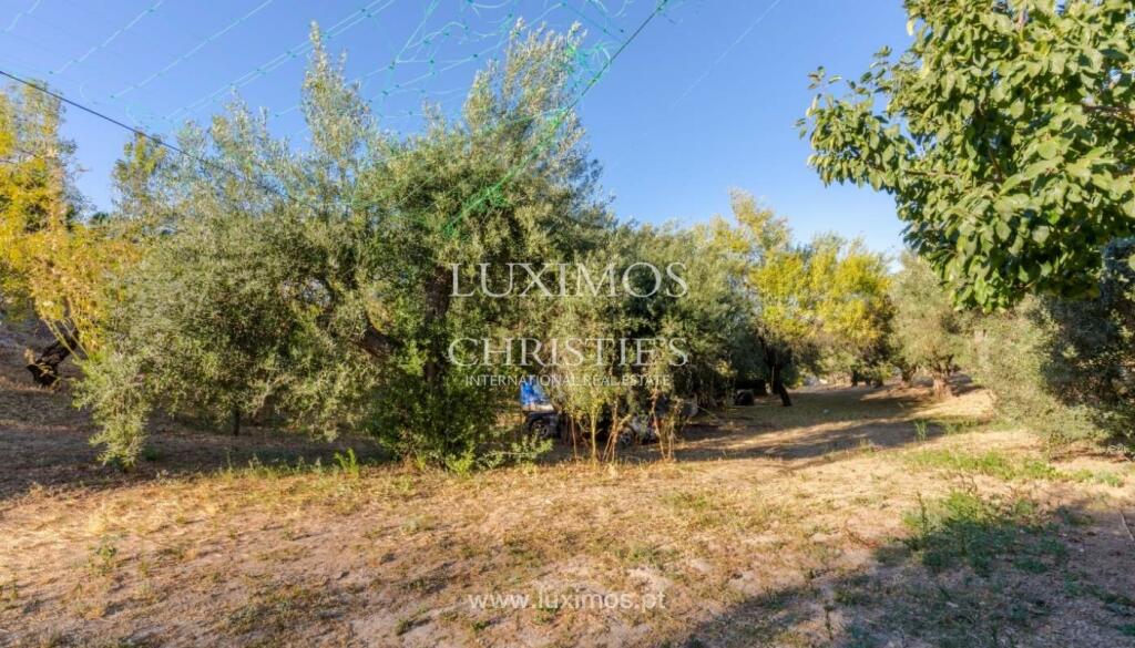 1 غرف نوم قطعة أرض في Almancil, Portugal رقم 78121