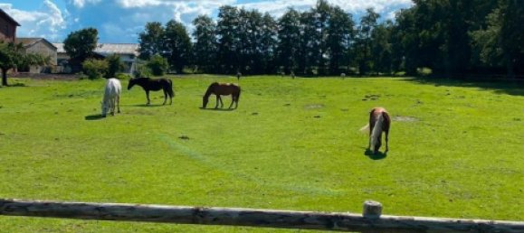 3 bedrooms House in Steinburg, Germany No. 239562 6