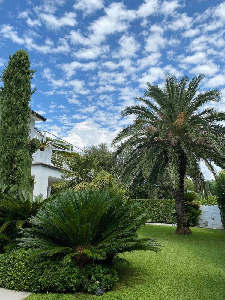 12 rooms Villa in Forte dei Marmi, Italy No. 104597