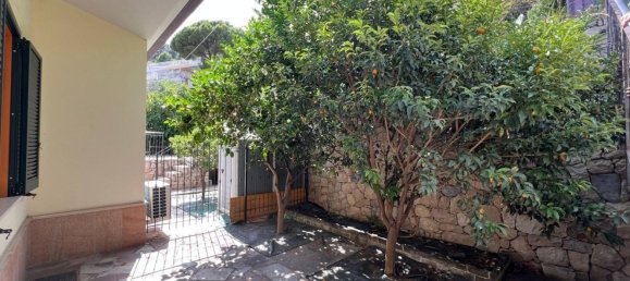 4-Zimmer Wohnung in Cervo, Italy, Nr. 267903 36