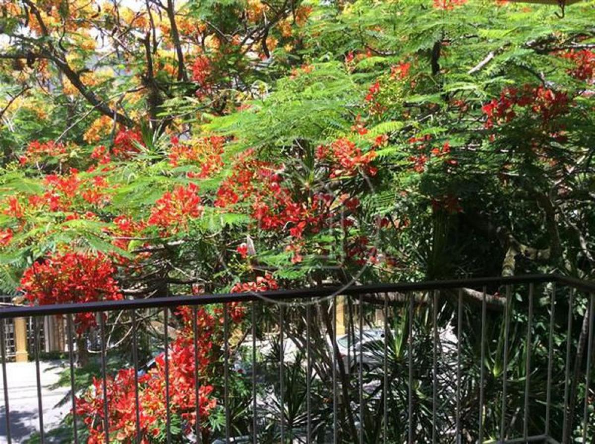 Квартира с 4 спальнями в Рио-де-Жанейро, Бразилия № 464825