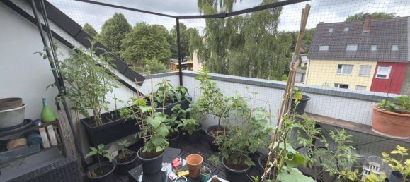 2-Zimmer Wohnung in Essen, Germany, Nr. 233087 11