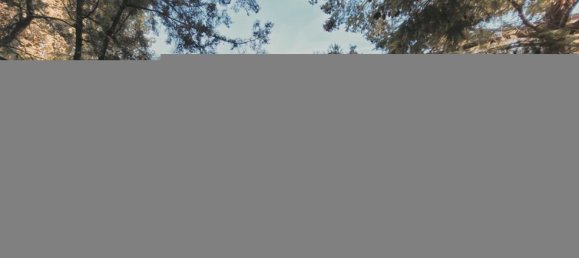 16 rooms Villa in Pietrasanta, Italy No. 178348 16