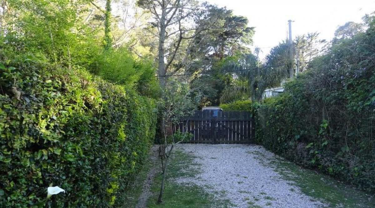 Дом с 3 спальнями в Мальдонадо, Уругвай № 4492