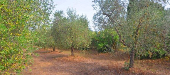 10840m² Land in Suvereto, Italy No. 89387 6
