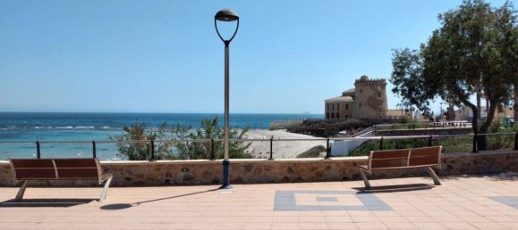 3 Schlafzimmer Bungalow in Pilar de la Horadada, Spain, Nr. 12950 13