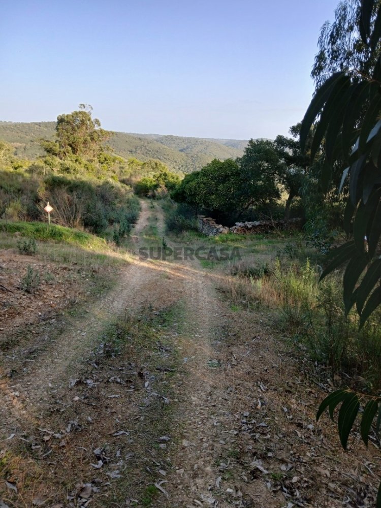  Land in Montalvao, Portugal No. 291144