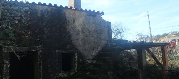 3 Schlafzimmer Haus in Ansiao, Portugal, Nr. 20584 6