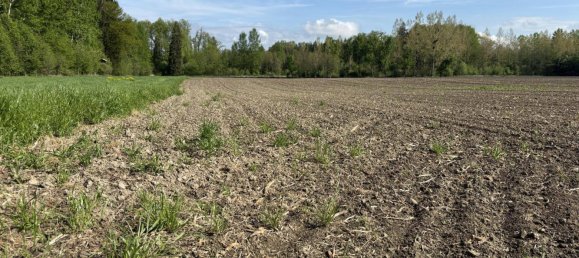 Земельный участок в Миттеркирхен им Махланд, Австрия № 53407 4