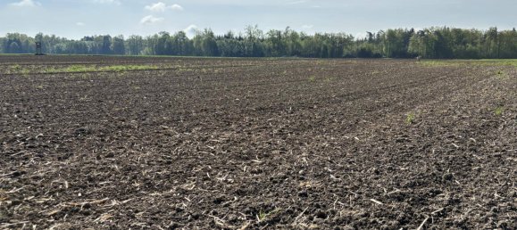 Земельный участок в Миттеркирхен им Махланд, Австрия № 53407 7