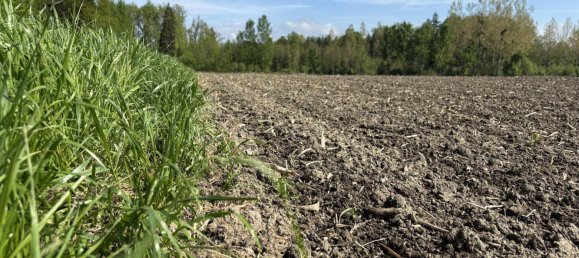 Земельный участок в Миттеркирхен им Махланд, Австрия № 53407 2