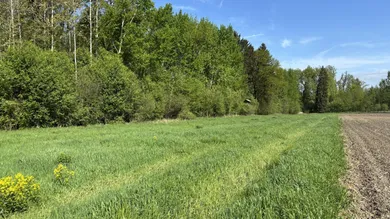 Земельный участок в Миттеркирхен им Махланд, Австрия № 53407