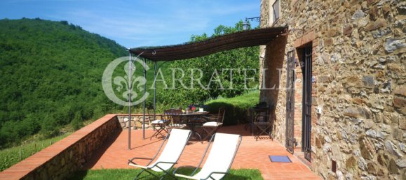 18 bedrooms Land in Castellina in Chianti, Italy No. 79775 8