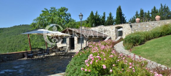 18 bedrooms Land in Castellina in Chianti, Italy No. 79775 19