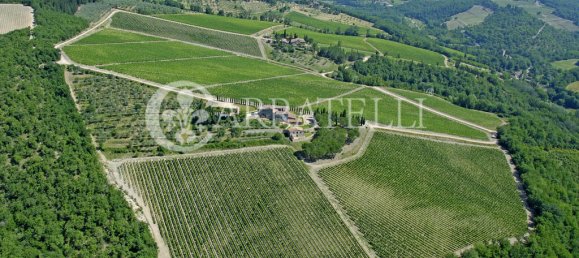 18 bedrooms Land in Castellina in Chianti, Italy No. 79775 17