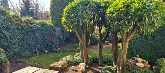 5-Zimmer Stadthaus in Ludwigshafen am Rhein, Germany, Nr. 54600 36