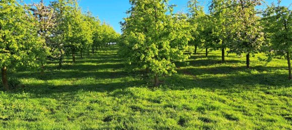 Таунхаус с 4 спальнями в Хайльбронн, Германия № 351635 6