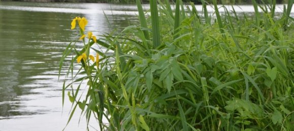 Terreno en Le Mung, France 836 m² No. 49521 2