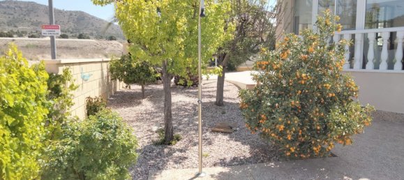 5 bedrooms House in La Romana, Spain No. 94585 6