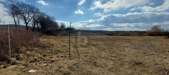  Land in Kapelln, Austria No. 236346 4