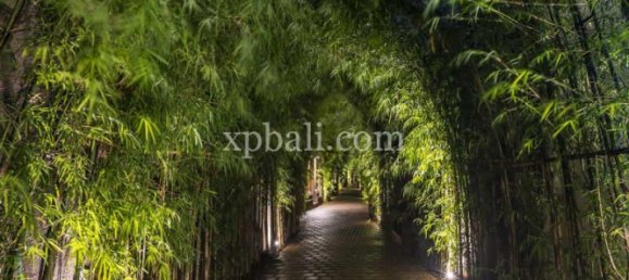 2 bedrooms Villa in Seminyak, Indonesia No. 3736 18