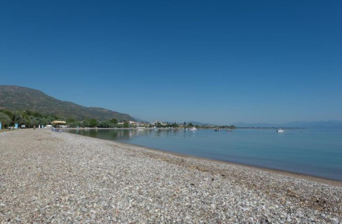 4 bedrooms Commercial property in Evrostina, Greece No. 5920