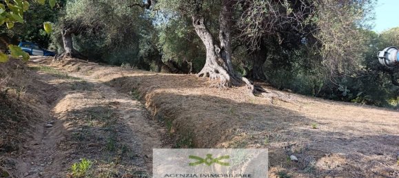 Земельный участок в Кампофеличе ди Рочелла, Италия № 375063 5