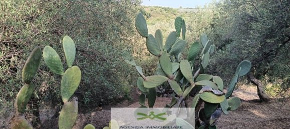 Земельный участок в Кампофеличе ди Рочелла, Италия № 375063 7