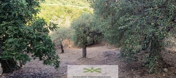 Земельный участок в Кампофеличе ди Рочелла, Италия № 375063 14