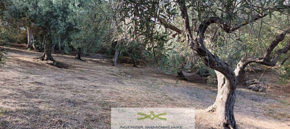 Земельный участок в Кампофеличе ди Рочелла, Италия № 375063 11