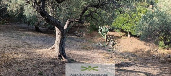 Земельный участок в Кампофеличе ди Рочелла, Италия № 375063 10