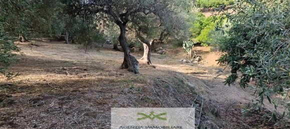 Земельный участок в Кампофеличе ди Рочелла, Италия № 375063 16